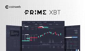 Understanding the Privacy Policy of PrimeXBT What You Need to Know