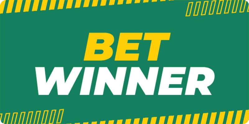 Discover BetWinner FR Your Ultimate Betting Experience