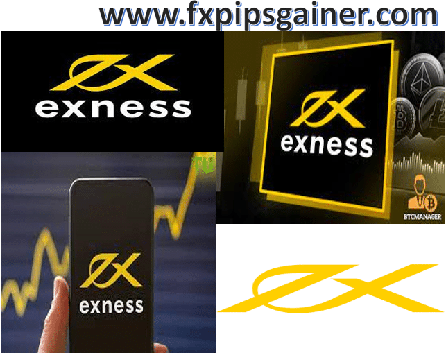 Explore Financial Freedom with Exness Explore Financial Freedom with Exness