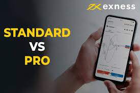 Explore Financial Freedom with Exness Explore Financial Freedom with Exness